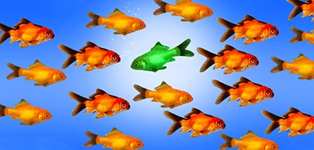 Swimming-Against-The-Current-header