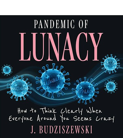 Pandemic of Lunacy book