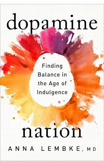 Dopamine Nation book